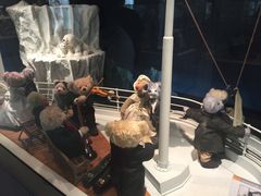 -济州岛泰迪熊博物馆