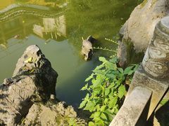 -迎江寺
