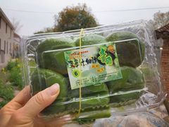 -王家沙点心店(西康路店)