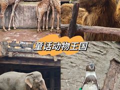 -长鹿旅游休博园
