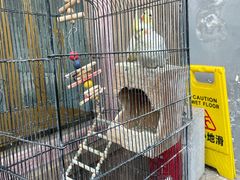 -后海16号·北京私房菜