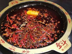 -一斗火锅·招财羊毛肚(北温泉九号店)