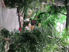 -滕头生态酒店(奉化店)