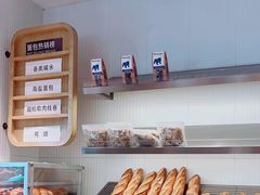 -WHEN PIGS FLY当猪飞