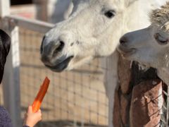 -金庭庄园酒店-停车场