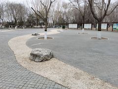 -大兴滨河森林公园