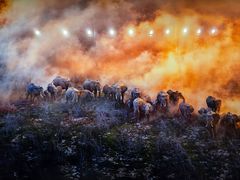 -罗红摄影艺术馆