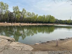 -森林公园(尖草坪区)