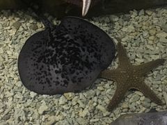 -多彩贵州城极地海洋世界