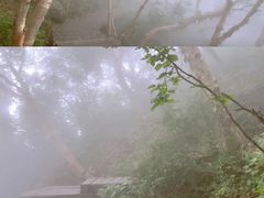 -白草畔自然风景区