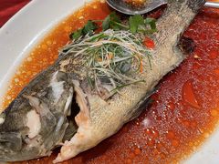 -上海龙之梦万丽酒店