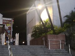 -九龙公园
