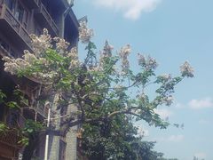 -中国宜宾·长江地标广场