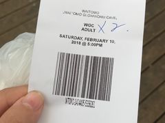 -怀托摩萤火虫洞