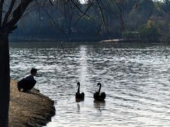 -琅岐红光湖公园