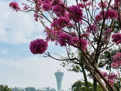 -狐尾山公园