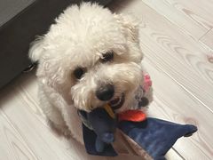 -FAELING PETS美天灵宠物(合生汇店)