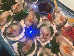 -千岛蚝高压锅生蚝·人参火锅(白云万达店)