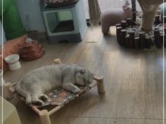 -牛喵喵铜锅牛肉馆