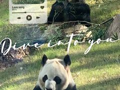 -无锡动物园·太湖欢乐园