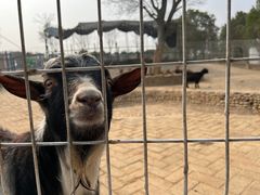 -武汉紫薇都市田园