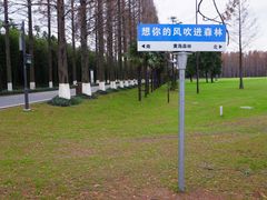 -黄海国家森林公园