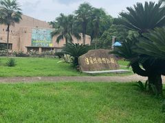 -自贡恐龙博物馆