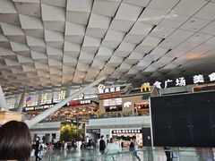 -郑州新郑国际机场-T2航站楼