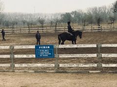 -月河湾马术俱乐部(朝阳店)