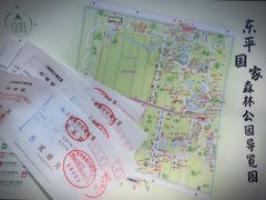 -东平国家森林公园