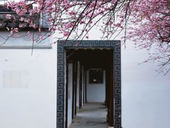 -八大山人梅湖景区