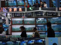-渔人湾码头海鲜市场负二楼