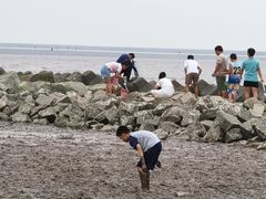 -南汇嘴观海公园