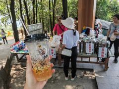 -火炉山森林公园
