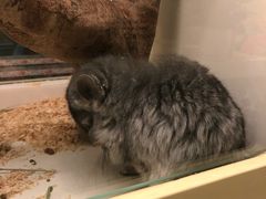 -龙猫仔乐园(惠福东路店)