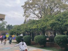 -庾园