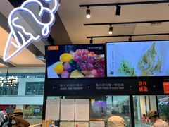 -野人先生现做冰淇淋(西安赛格店)