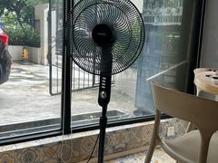 -喜上喜鸡煲翅(吉大店)