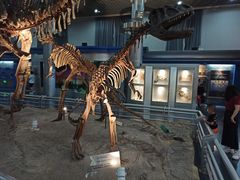 -国家自然博物馆