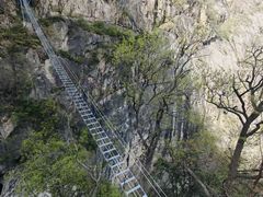 -洛阳白云山景区