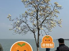 -品鲜村农家菜·阳澄湖大闸蟹(总店)