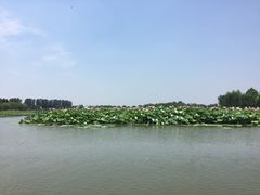 -白洋淀景区