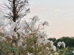 -南北湖风景区