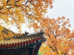 -香山公园
