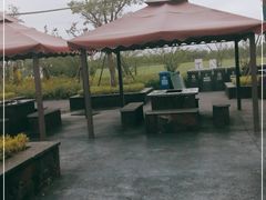 -春花秋色城市公园