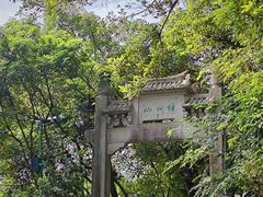 -梧桐山风景名胜区