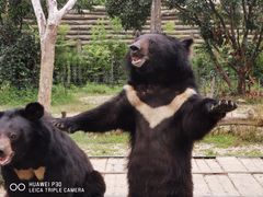 -常州淹城野生动物世界