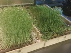 -夫妻肺片·中华老字号·正宗川菜(春熙路店)