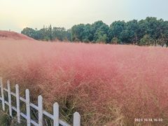 -嘉北郊野公园