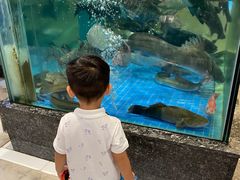 -聚福宝合苑食府(南头镇店)